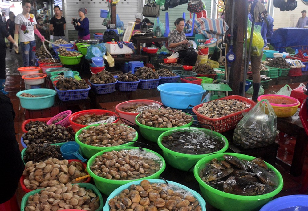 Các loại hải sản tươi ngon ở chợ Cát Bà 